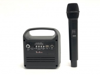 ААС-001р мини колонка с радио микрофоном (ручной передатчик)